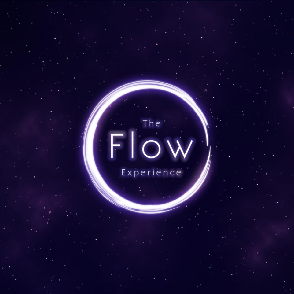 logo of the flow experience